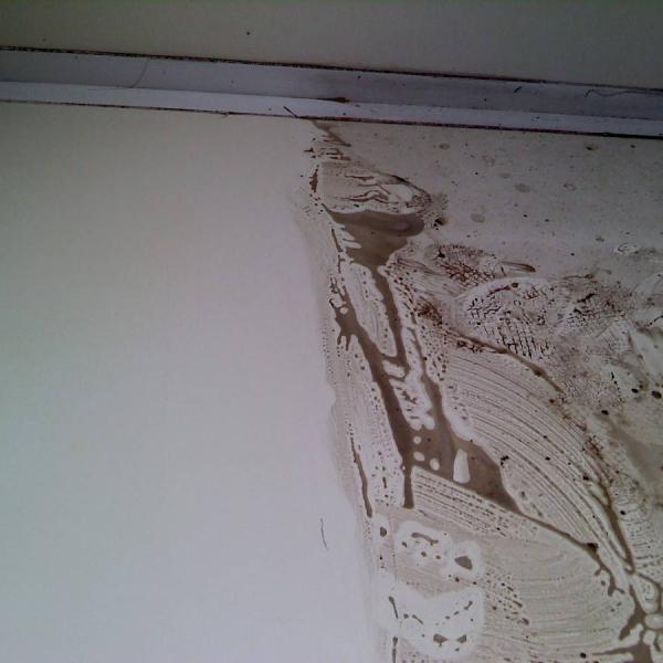 Schoonmaak na brand- of waterschade